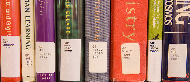 Le libre accès de la nouvelle bibliothèque