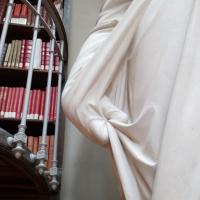 La bibliothèque confinée