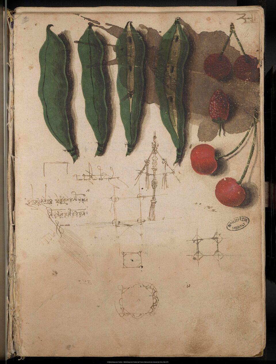 Perspective : actualité en histoire de l’art, n° 2027 – 1 : Figures du naturalisme