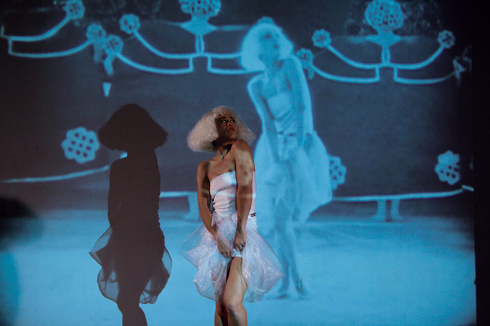 Objets minoritaires. Artefacts, performance et images des minorités sexuelles et de genre