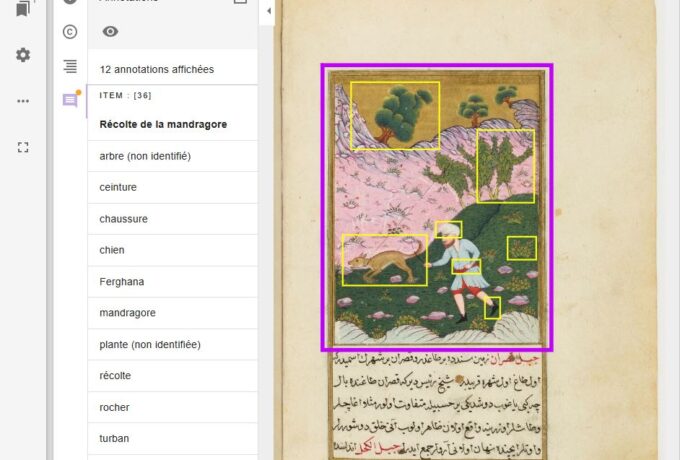 Annoter les enluminures dans Mandragore: perspective historique (Le 19/05/2026 de 17:00:00 à 18:30:00)