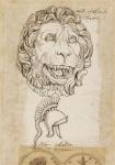 Lion's head (front view), Folio 8 Verso
