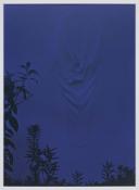 Takesada Matsutani (né en 1937), Object-8, 1973, photosérigraphie sur papier BFK, éd. 5/50, 76 x 56 cm, bibliothèque de l’Institut national d’histoire de l’art (EM MATSUTANI 53), courtesy the artist and Hauser & Wirth