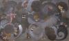 Seu-Nainsukh, Pouvoirs des ténèbres, miniature indienne, école Pahari, XVIIIe siècle, gouache sur papier, 21 × 31,5 cm, Lucknow, Musée national. © akg-images / Jean-Louis Nou.